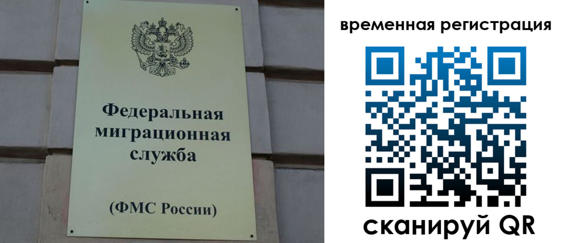 прописка ребенка в Курске